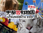 宇都宮動物園